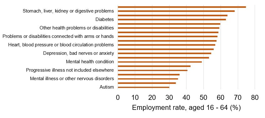 Stomach, liver, kidney or digestive problems are the most common self-reported primary health condition, followed by diabetes. Mental illness, other nervous disorders, and autism are the least.